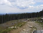 2015-07-13 12.43.04